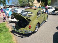 Ragtop Bugs at Kelly Park 2024