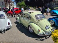 Ragtop Bugs at Kelly Park 2024