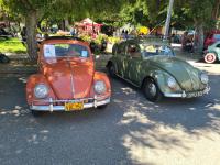 Ragtop Bugs at Kelly Park 2024