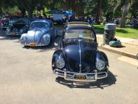 Ragtop Bugs at Kelly Park 2024