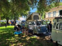 Bay Window Camper Buses at Kelly Park 2024