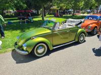 Convertible Bugs at Kelly Park 2024