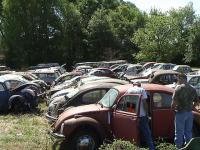 A junk yard in South Carolina