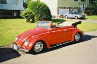 1964 Vert