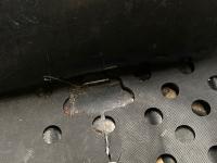 '74 Thing Pan Details