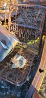 brokingVdub 181 rust buggy