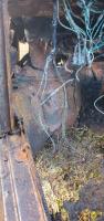 brokingVdub 181 rust buggy