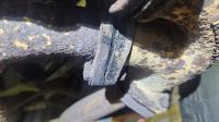 Exhaust Leaks