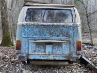 Relic in the woods valuable?