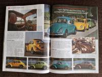 VolksWorld BRM Article