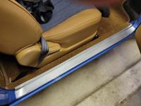 Door Sill Cleanup