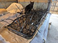 1957 23-window deluxe project