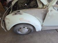 1969 Bug with Cancer