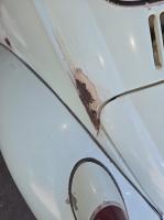 1969 Bug with Cancer