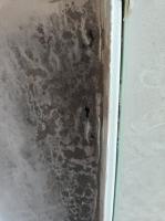 1969 Bug with Cancer