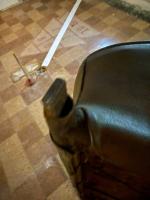 Original salt and pepper seat