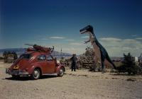 Beetle and dinosaur