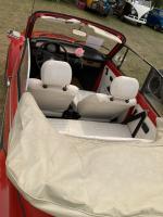 Holiday Buggy