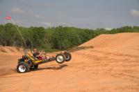 The buggies