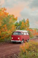 Juliett in autumn