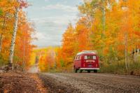 Juliett in autumn