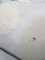 Rusty 1965 SC Restoration