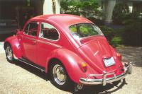 1966 beetle