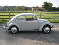 My '68 Beetle