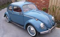 My 1959 Beetle