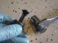 Trans drain bolt magnet