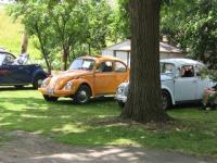 Beard's Buggy Show