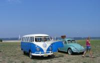 Bugs and Buses By Barnegat Bay 2006