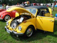 Beetle trunk