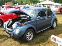 Super Beetle trunk