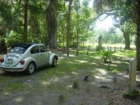 Lauren's Mexi-beetle in Micanopy graveyard.