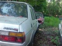 84 Jetta GLI anyone?