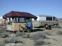 Tiki Bar Bus