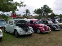 3rd Annual Bugs At The Park Waipahu  HAWAII