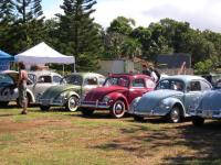 3rd Annual Bugs At The Park Waipahu  HAWAII