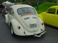 european bug-in