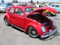 sacramento bug-o-rama