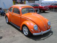 sacramento bug-o-rama