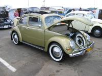 sacramento bug-o-rama