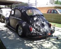 '66 bug "Charlotte"