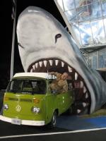 Shark Eats Bus