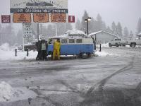 gettin our xmas trees last year 2001