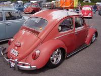 1964 bug