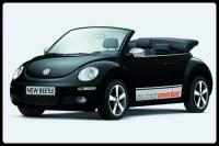 New Beetle Black-Orange Series