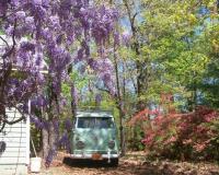 Crew Cab  & flowers