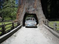 Traveling up the California Coast in our new 1965 S Notchback